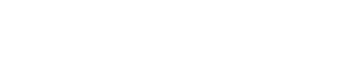 Chipleader